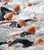 nycswim_sm 2